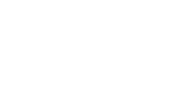 넷엔트 Logo
